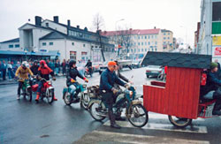 Moposauna